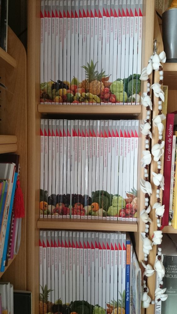 mes meilleures recettes gourmandes 75 Issepts (46)