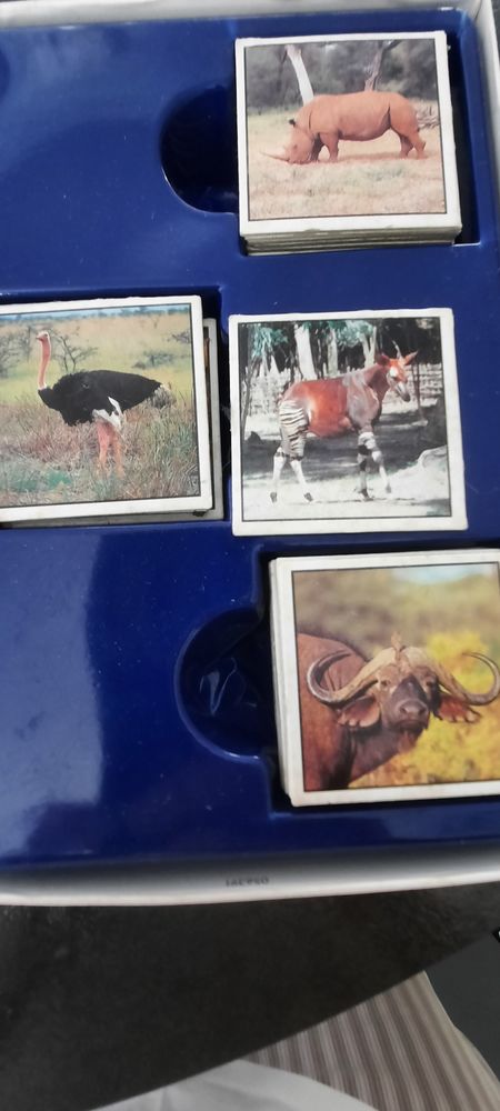 M�mo animaux sauvages 3 H�nin-Beaumont (62)