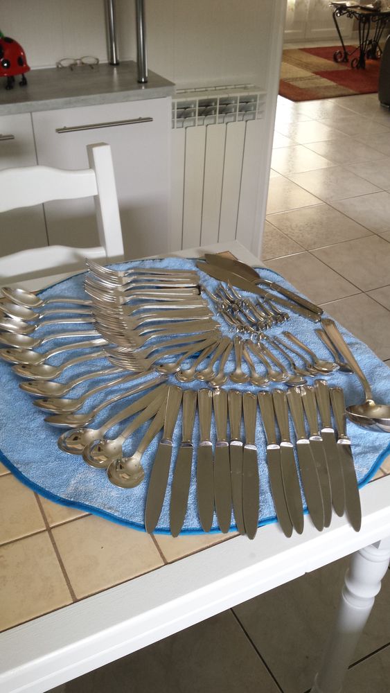 m�nag�re 60 Gujan-Mestras (33)