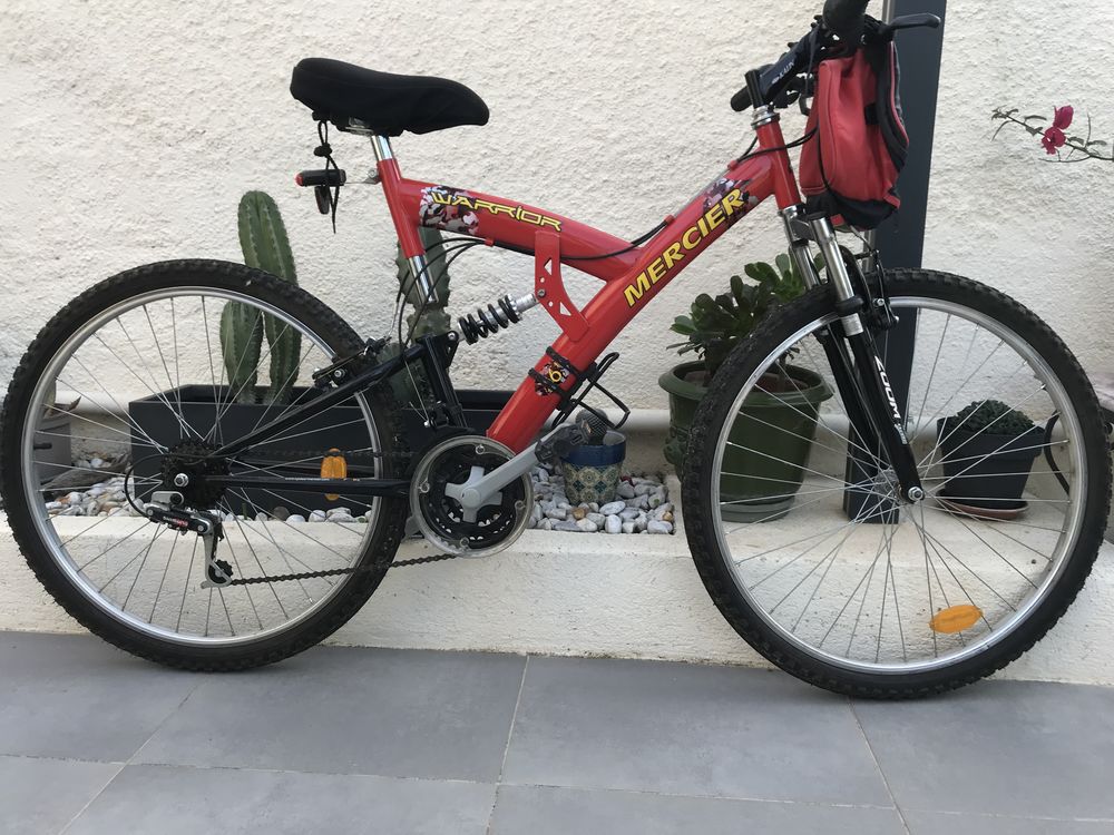 Achetez vtt mercier homme quasi neuf annonce vente a Cabestany 66 WB174477737