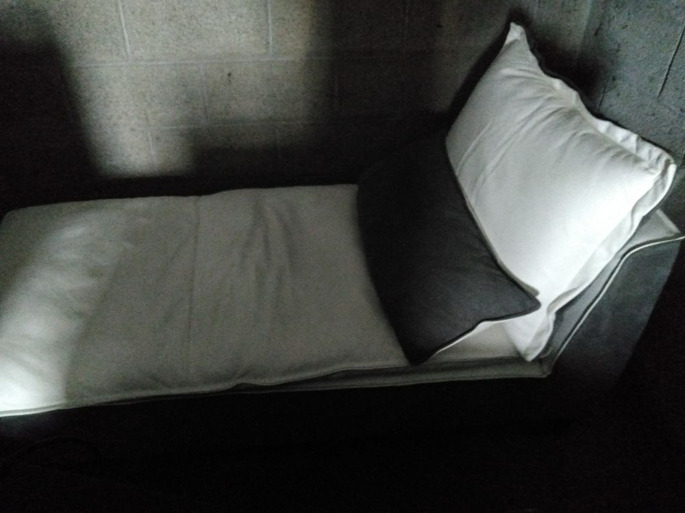 M�ridienne Cuir retourn� + pleine fleur Detemple et coussins 180 Longeville-l�s-Metz (57)