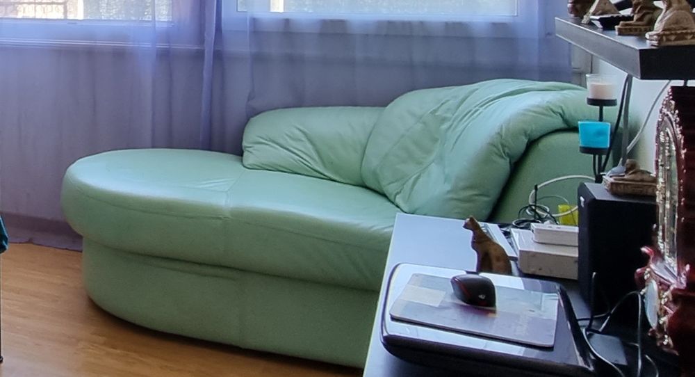 M�ridienne  en cuir vert 50 Champagn� (72)