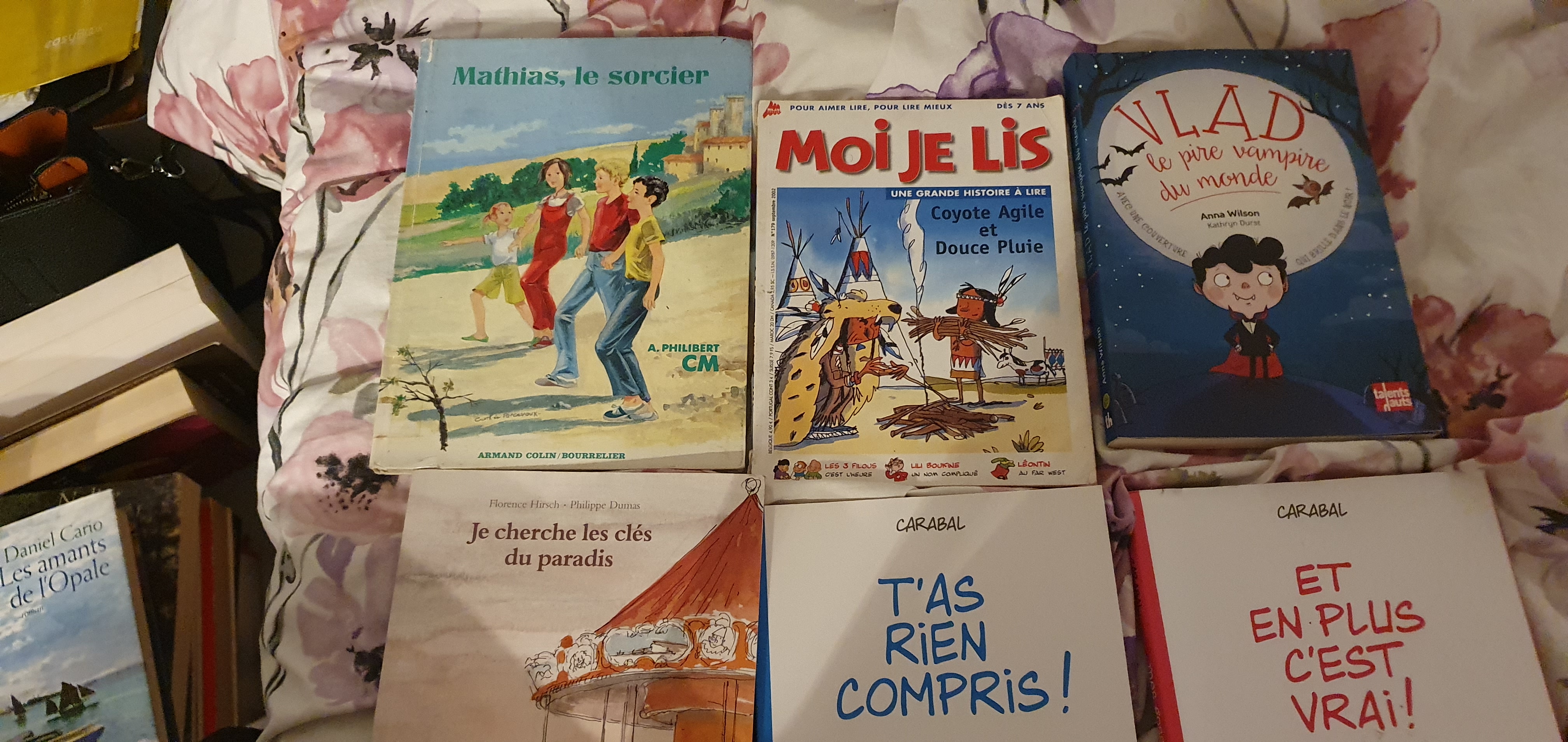 Je mets mes livres ? enfants seul 5eu et �5=18eur 5 Dax (40)