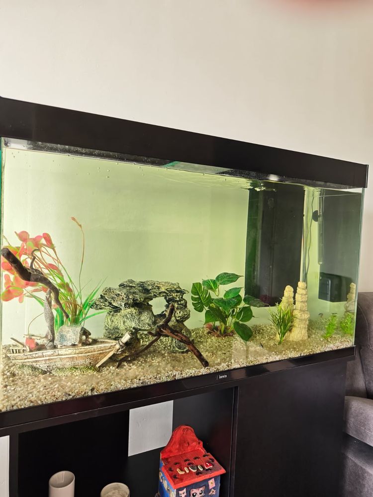Meuble aquarium  200L 600 Sartrouville (78)