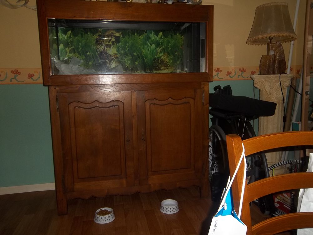 MEUBLE AQUARIUM 0 Cherbourg-en-Cotentin (50)