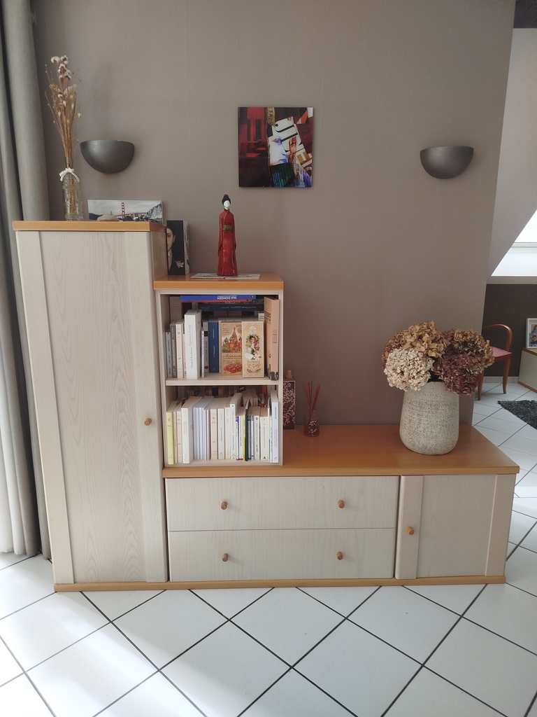 Meuble Ligne Roset 120 B�nouville (14)