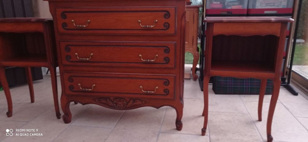 Meuble merisi� 250 Orchies (59)