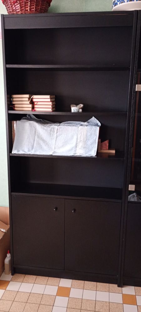 Meuble mural pour livres . 50 Lalinde (24)