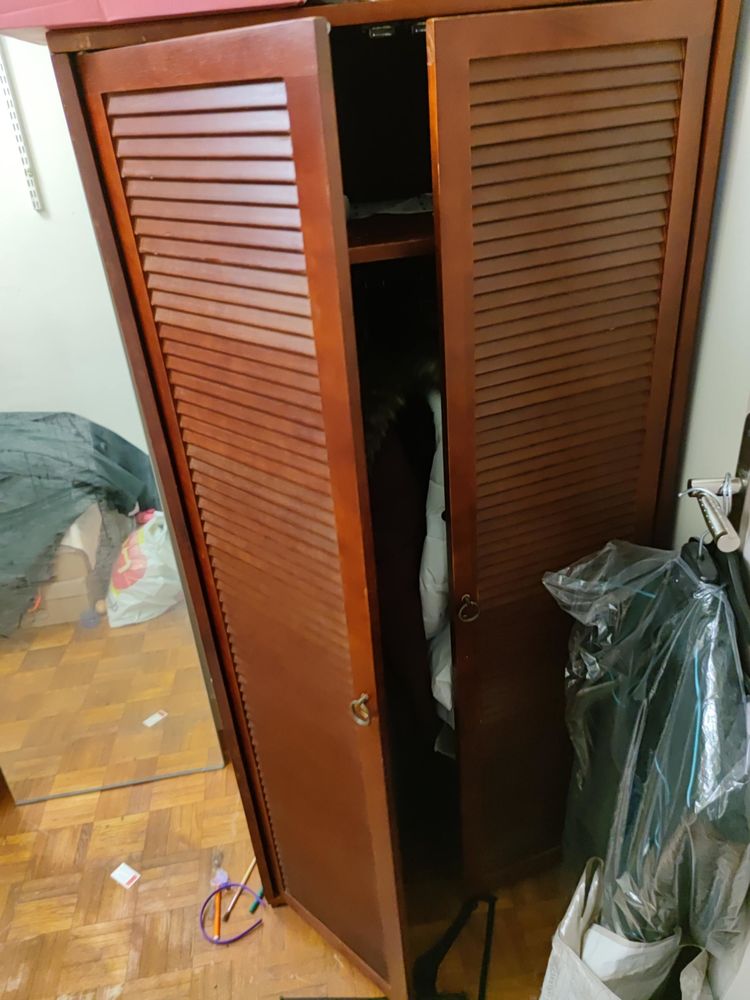 MEUBLE PENDERIE ACAJOU 2 PORTES 50 Saint-Maur-des-Foss�s (94)