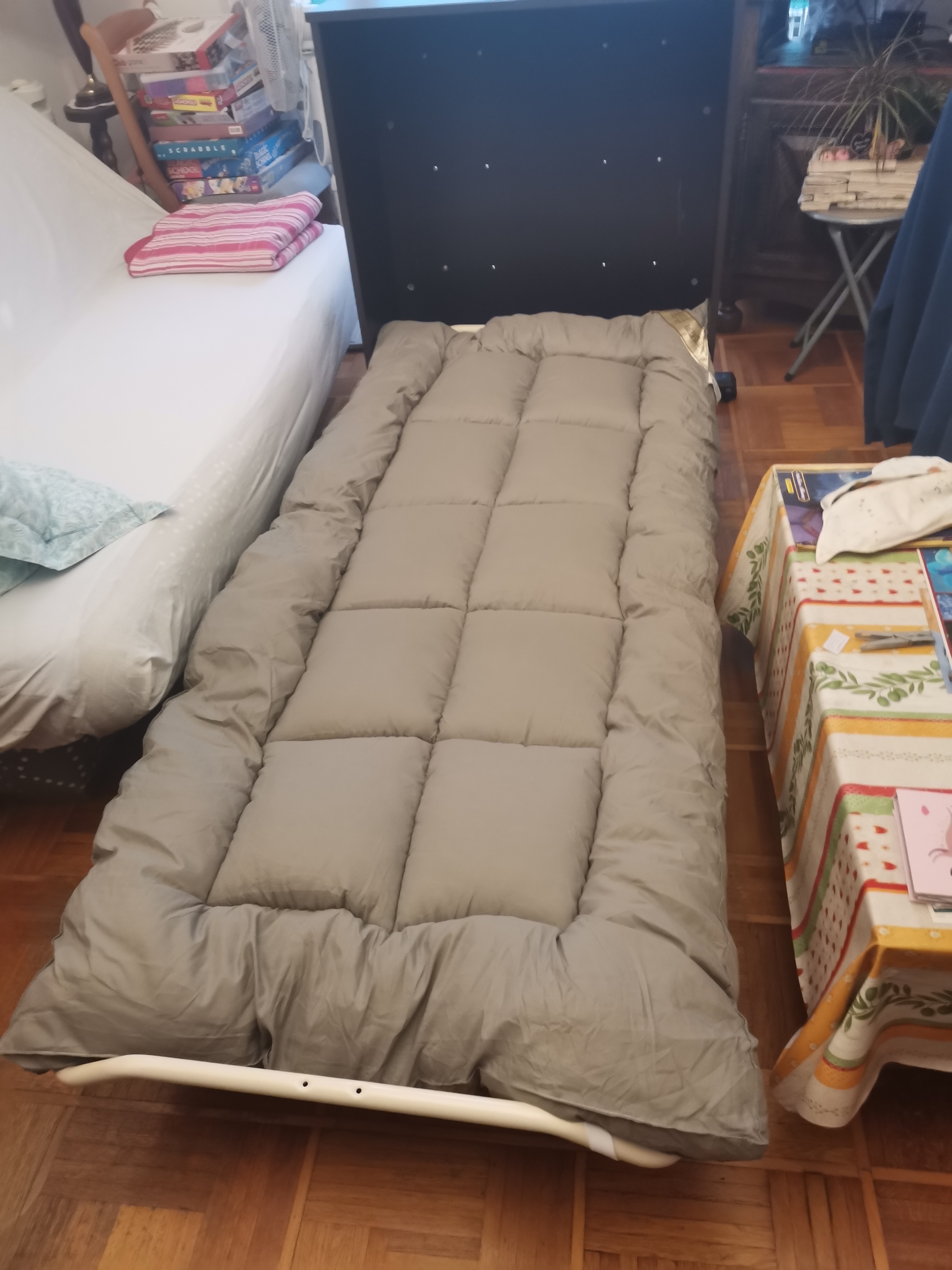  Meuble Lit pliant 100 Nice (06)