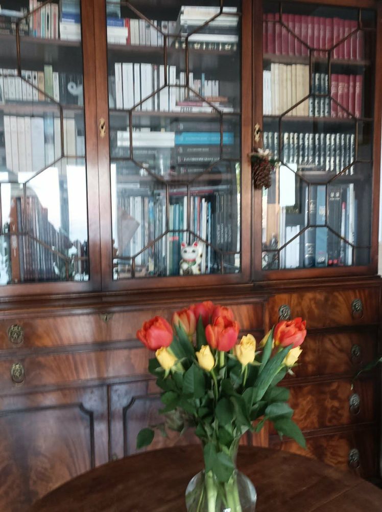 Meuble a remonter 0 Bordeaux (33)