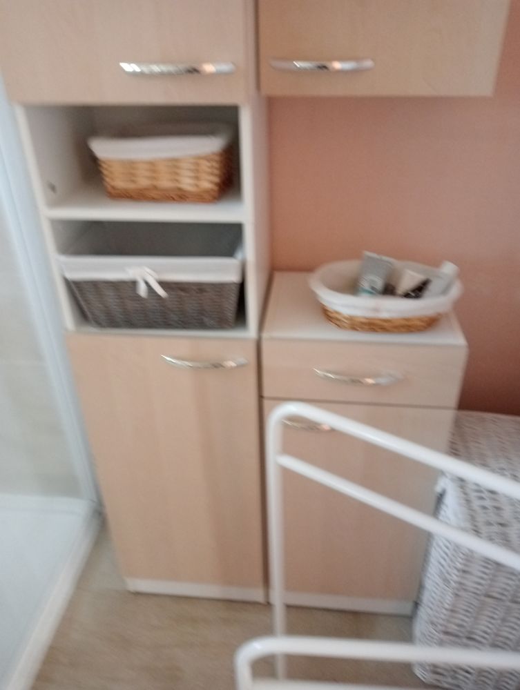 meuble de salle de bain 30 Blois (41)