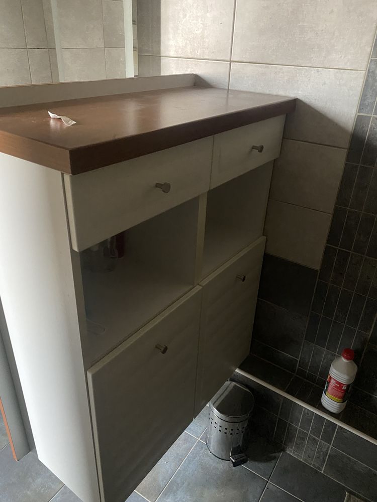 Meuble de salle de bain 300 Pierrelatte (26)
