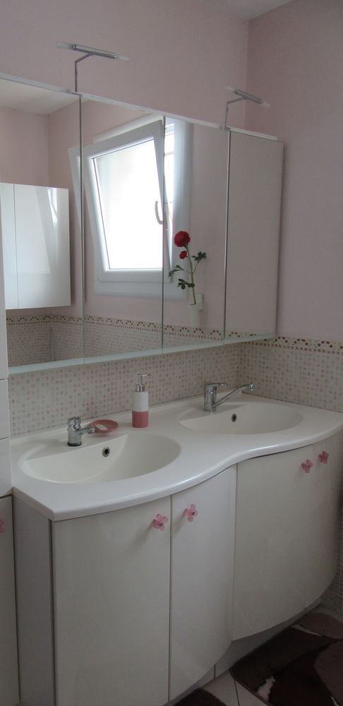 meuble salle de bains 0 Amb�rieux-en-Dombes (01)