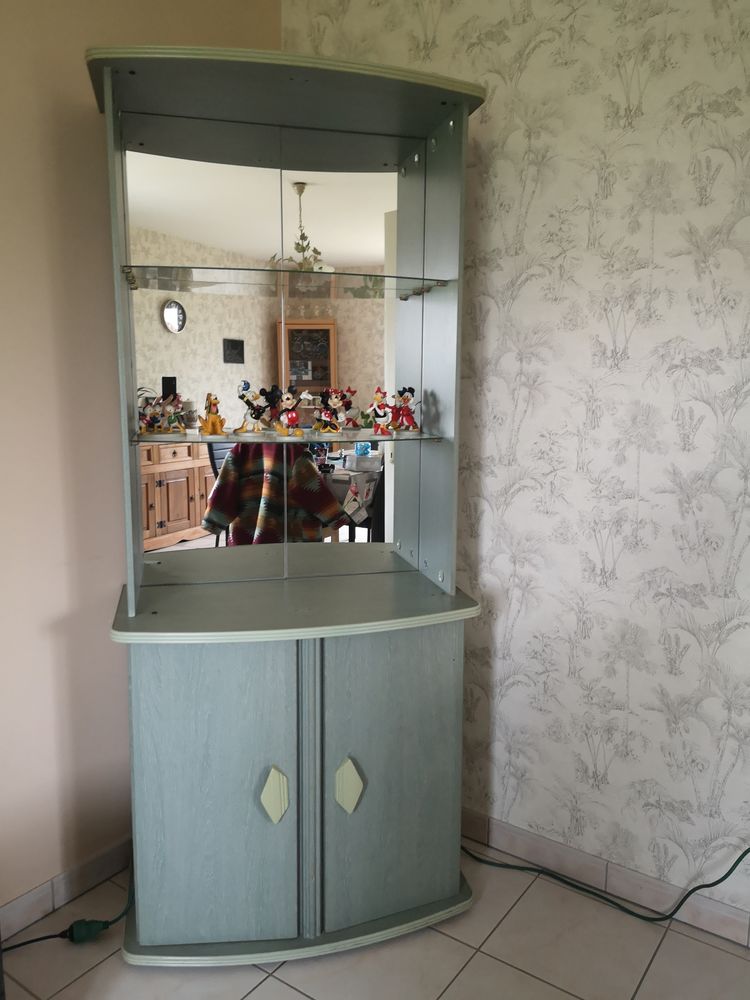 Meuble salon vert 50 Bannes (51)