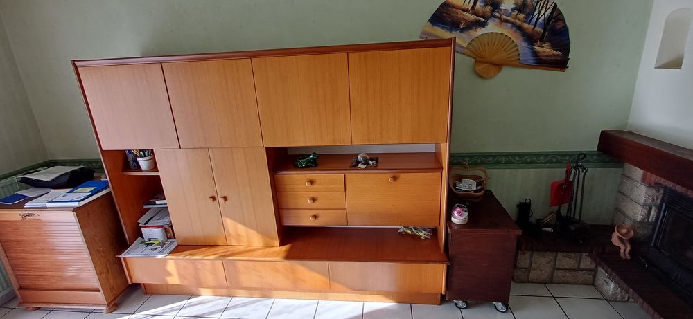 Meuble de salon 10 Le Loroux-Bottereau (44)