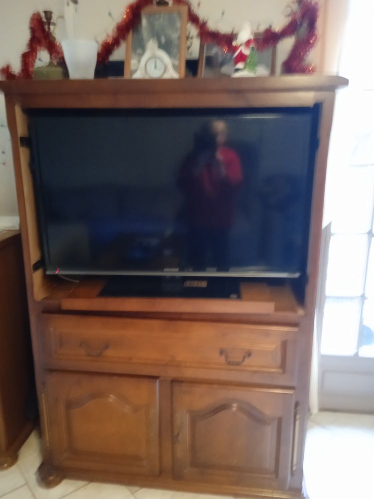 Meuble de t�l� haut  en aulne 80 Les Rosiers-sur-Loire (49)