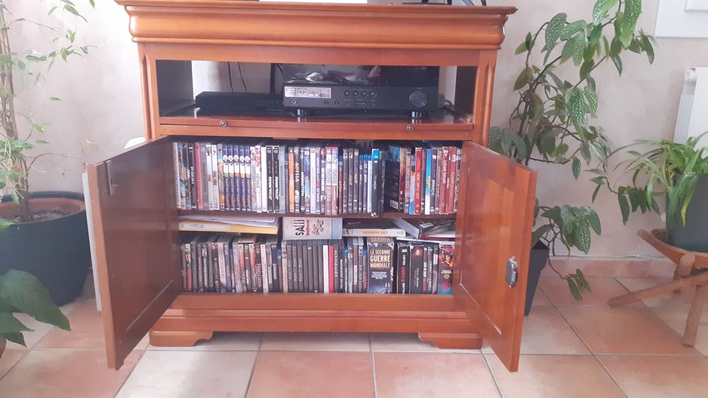 meuble t�l� 50 La Salvetat-Saint-Gilles (31)