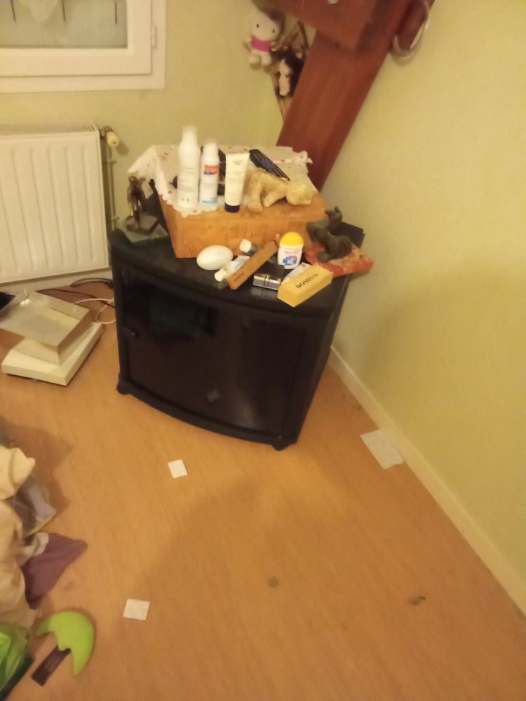 Meuble t�l� 40 La Loupe (28)