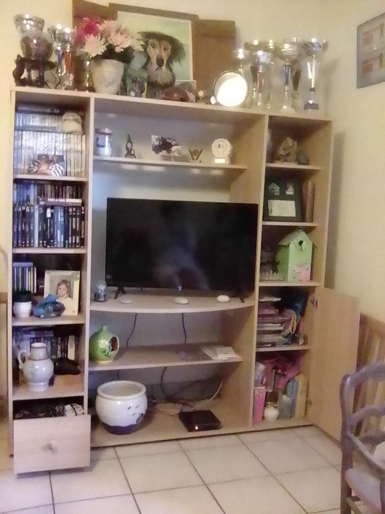 Meuble t�l�vision 50 Pl�rin (22)