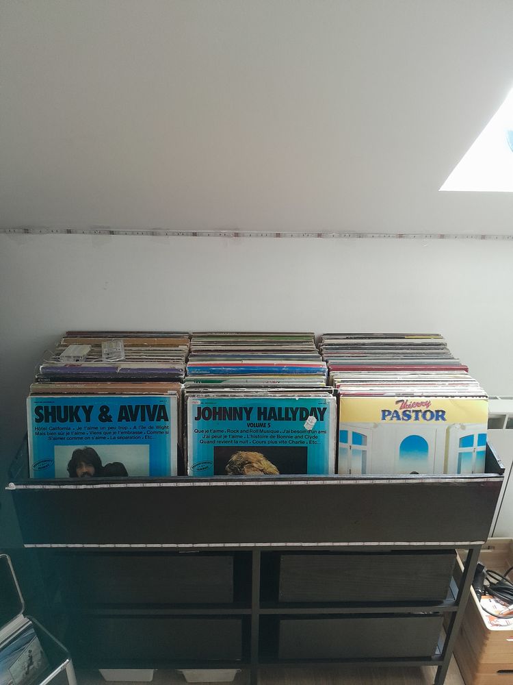 Meuble vinyles 33t  ou 45 50 Sougy (45)