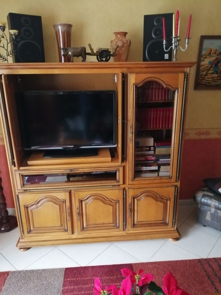 Meuble TV 50 Saint-Martin-du-Tertre (89)