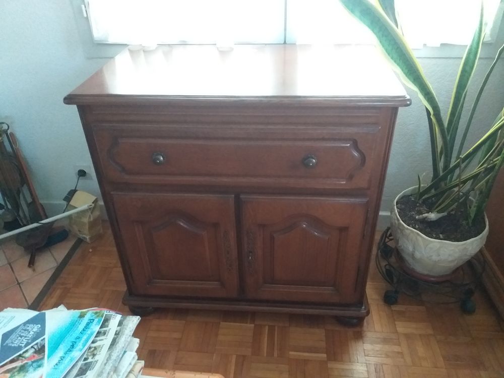 Meuble tv 50 La Roche-Derrien (22)