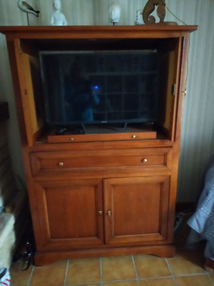 meuble tv 50 Mesquer (44)