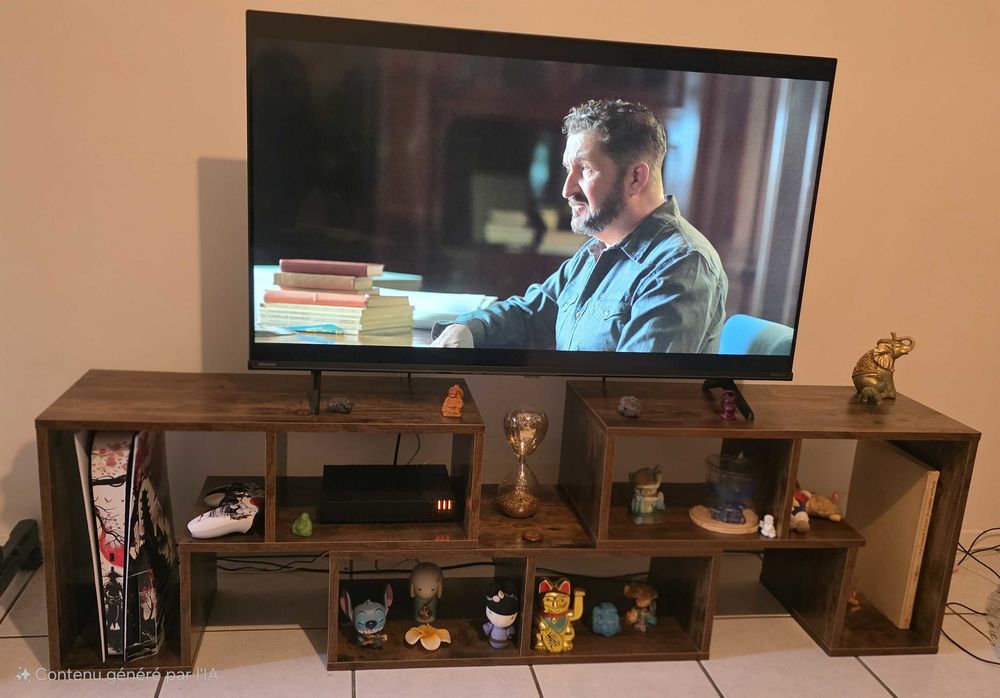 Meuble TV 50 Toulouse (31)