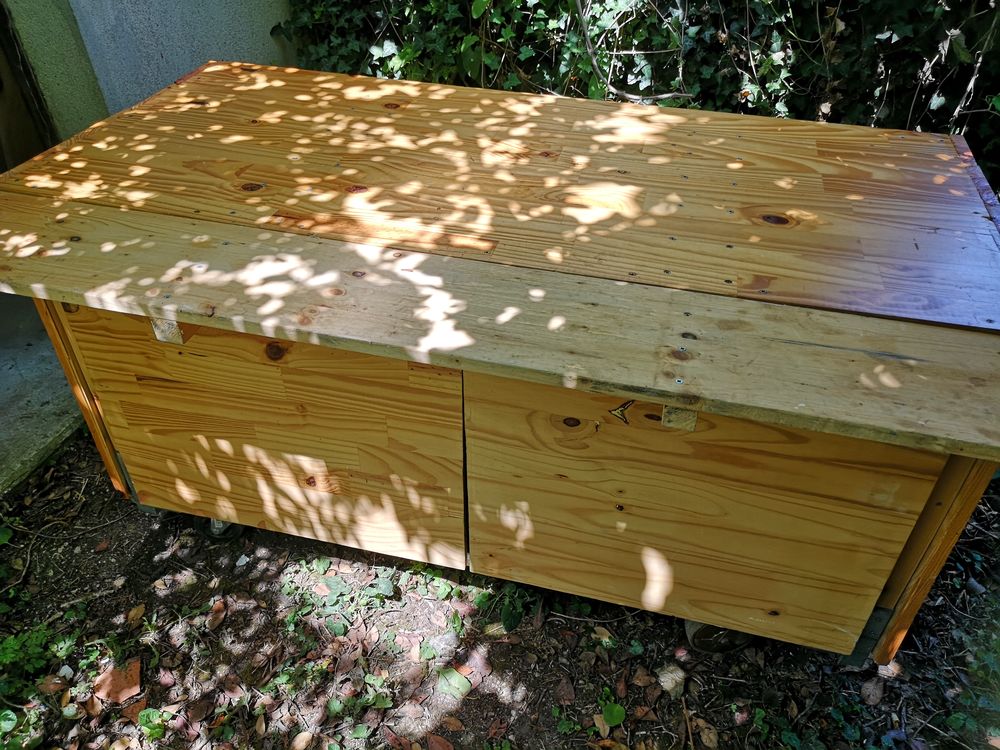 Meubles sur roulettes 80 Chinon (37)