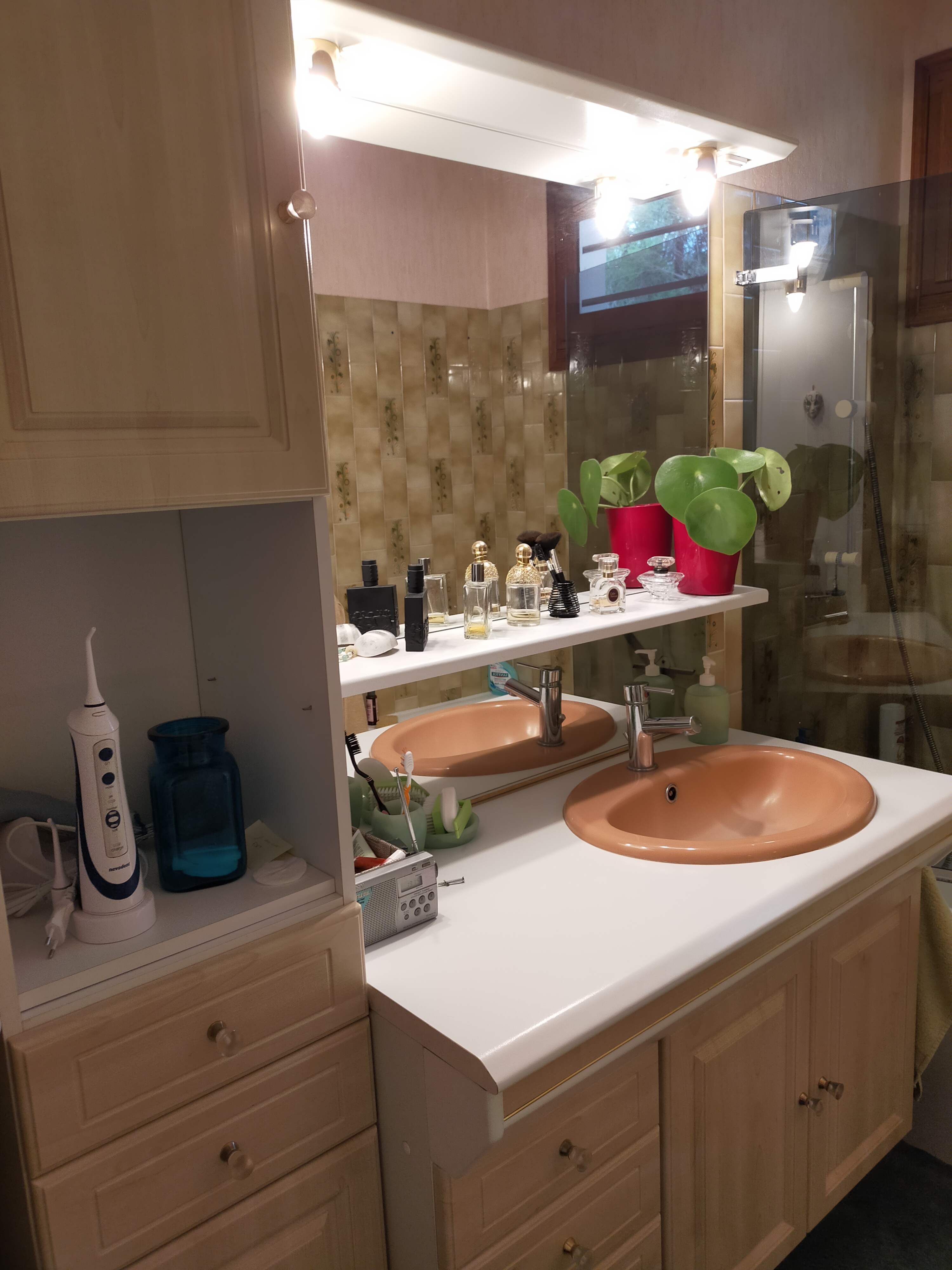 Meubles de salle de bain 80 Velars-sur-Ouche (21)