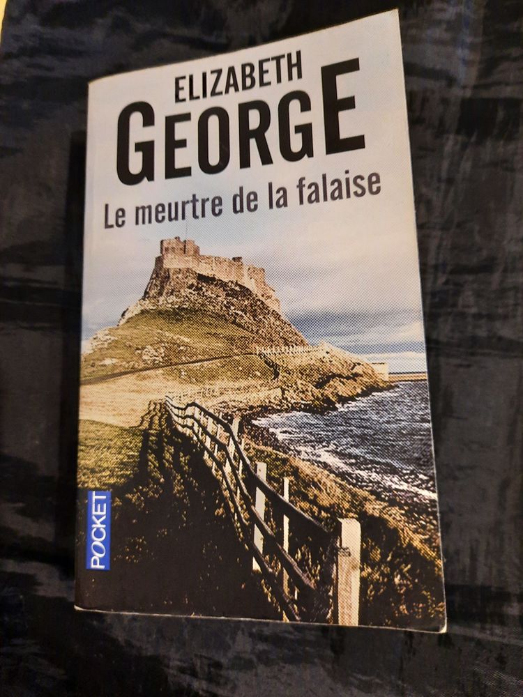 Le meurtre de la falaise (policier) 5 Palisse (19)