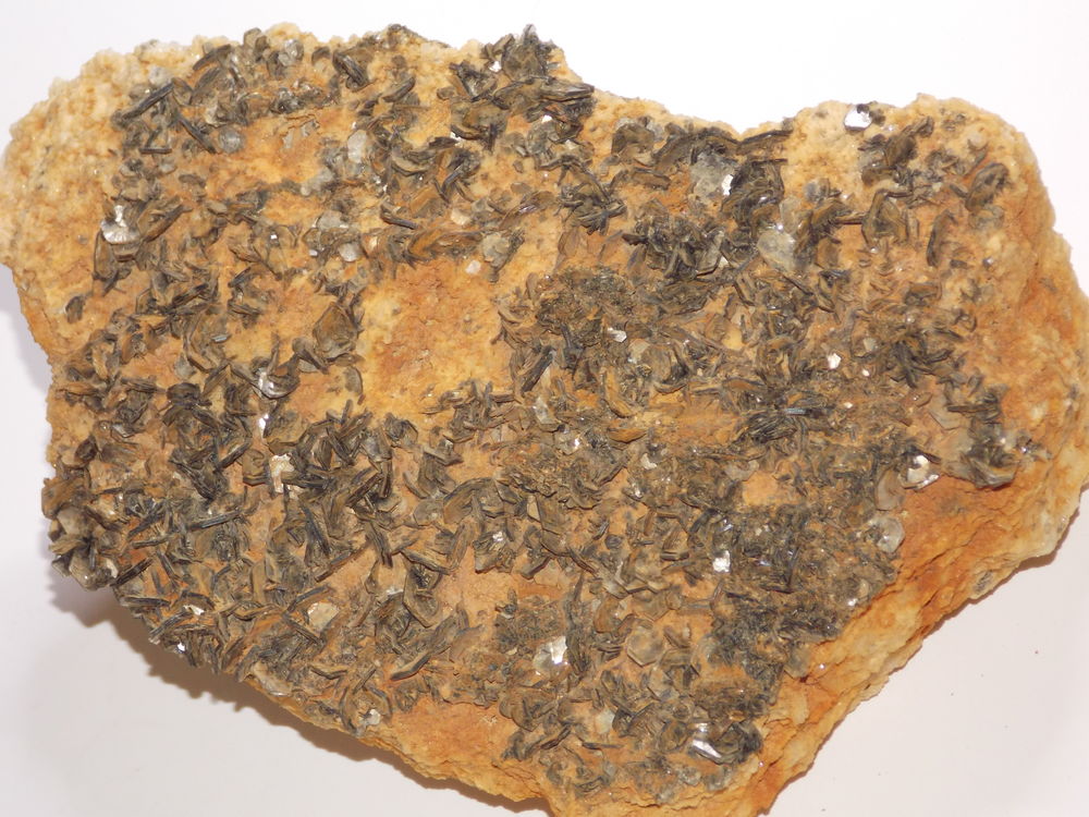 Mica massif de l'Argenti�re Haute-Savoie France 497gr 80 Moyenmoutier (88)