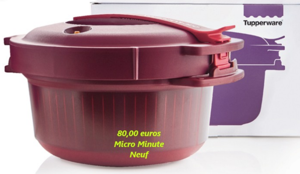Micro-minute Tupperware 80 Lorient (56)