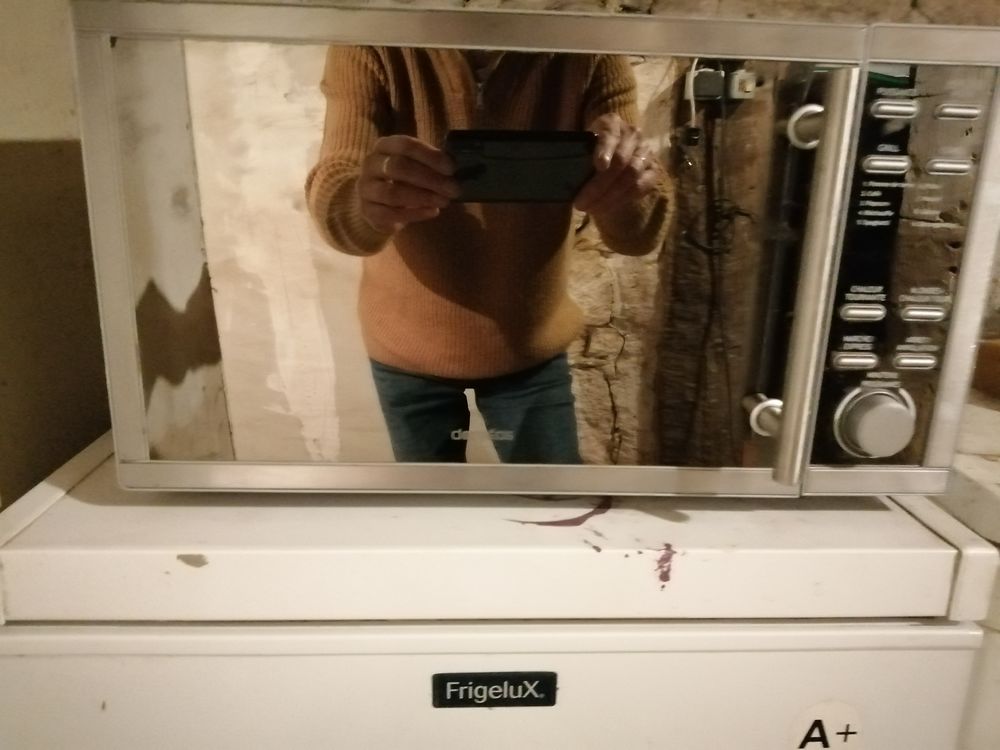 micro onde four chaleur tournante 25 Vecqueville (52)