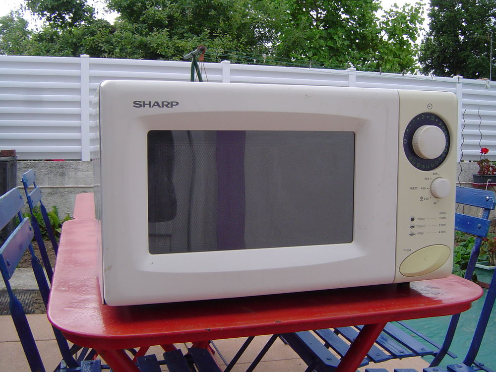 MICRO ONDE 10 Challans (85)