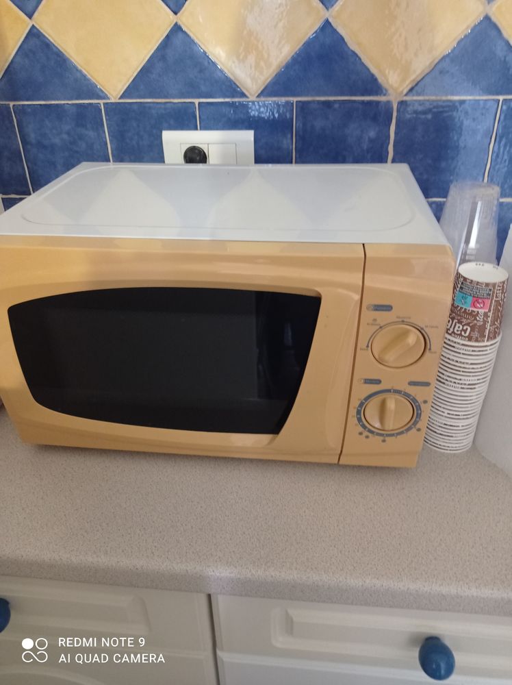 Micro onde 20 Tonneins (47)