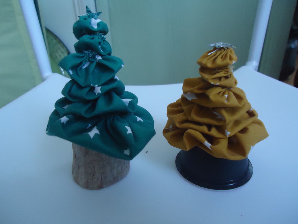 MICRO SAPINS 2 Portiragnes (34)