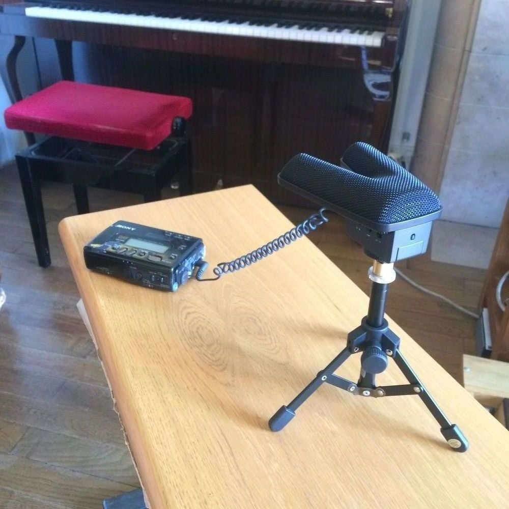 Microphone SENNHEISER MKE440: son de qualit� pour CAMERA 209 Labastide-Rouairoux (81)