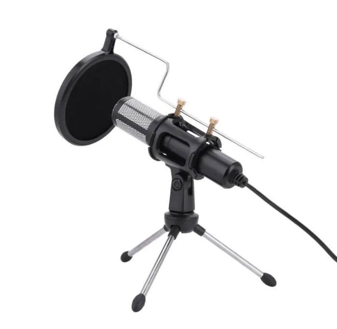 MICROPHONE A TREPIED 19 Arzal (56)