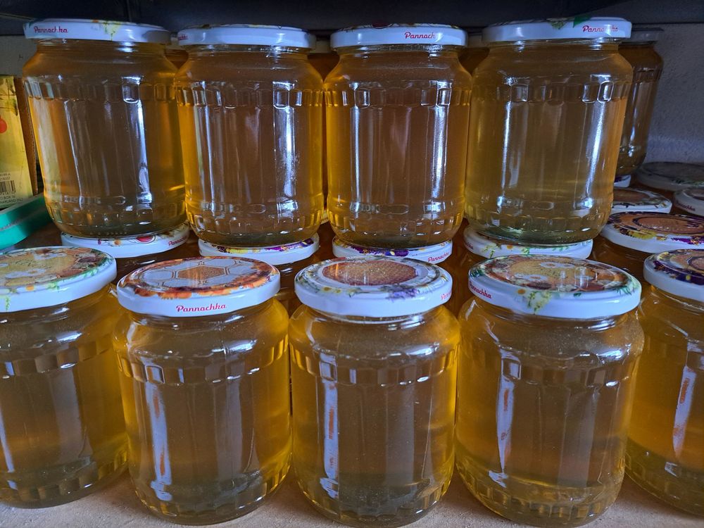 Miel d'acacia 1 kg 15 Esbly (77)