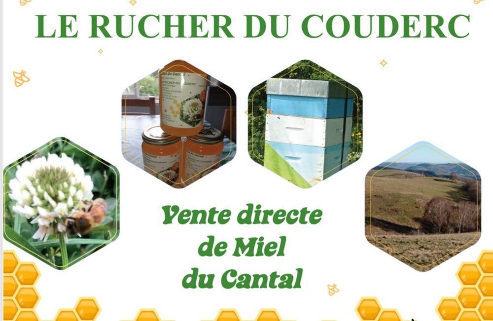 Miel toutes fleurs du Cantal récolte 3022 7 Yolet (15)