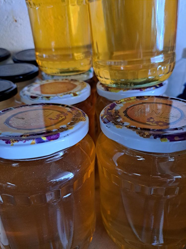 MIELS EN PRODUCTION LIMIT�E  POTS 1 KG 17 Esbly (77)