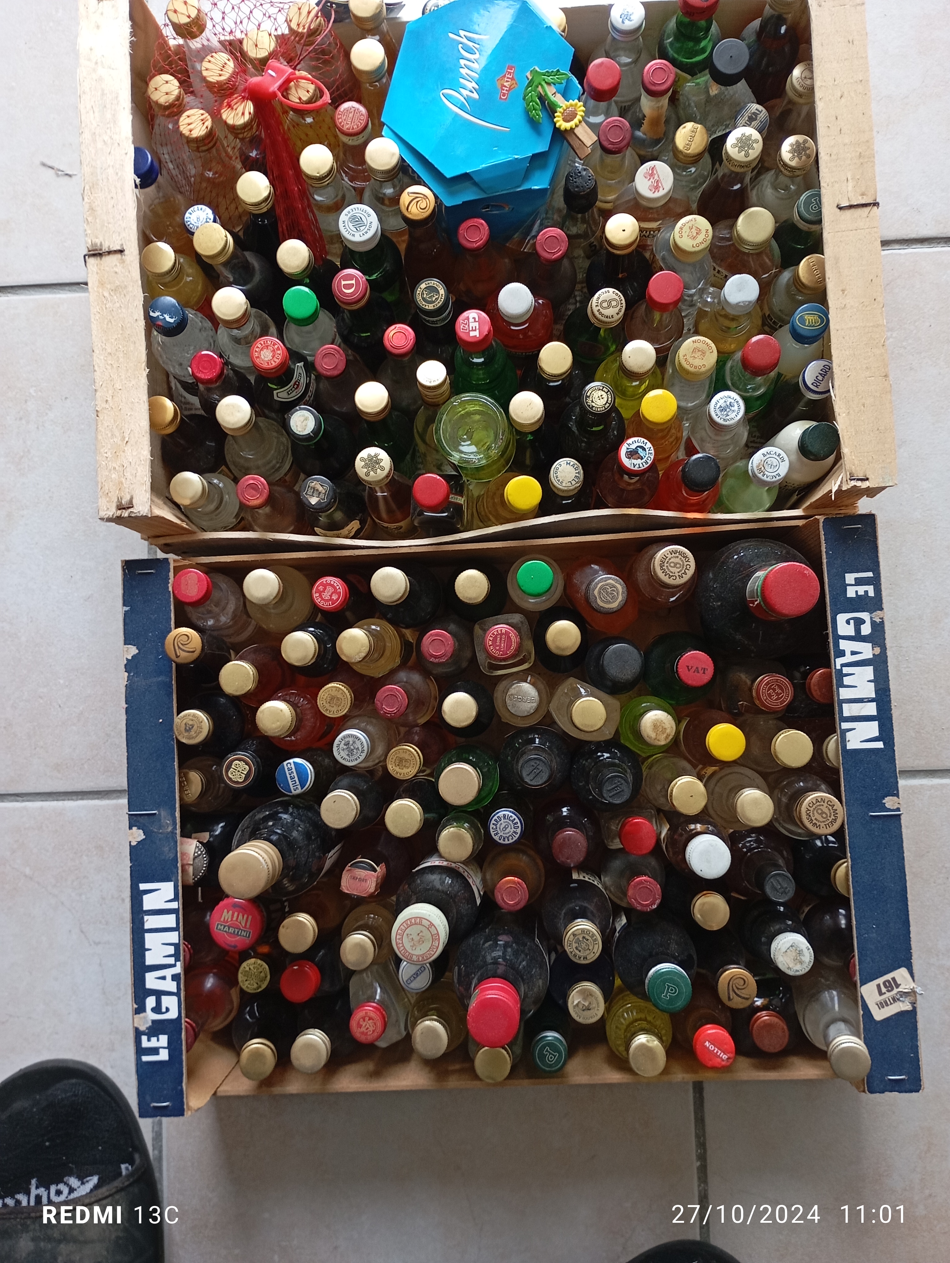 mignonettes 55 Saint-Sardos (82)