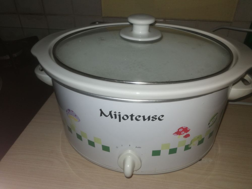 Mijoteuse ovale 15 Le Creusot (71)