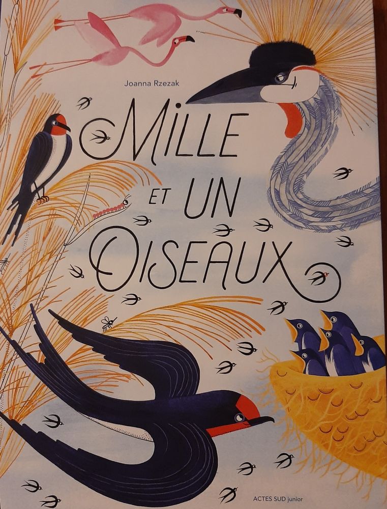 Mille et un oiseaux 8 Arles (13)