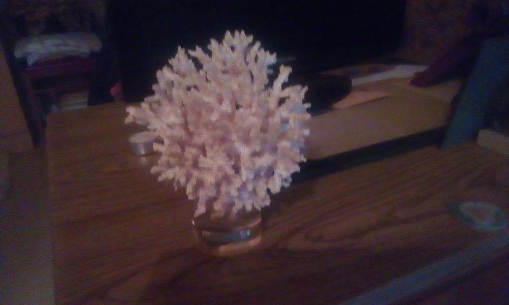 Min�raux en ivoire 0 Saint-Bonnet-sur-Gironde (17)