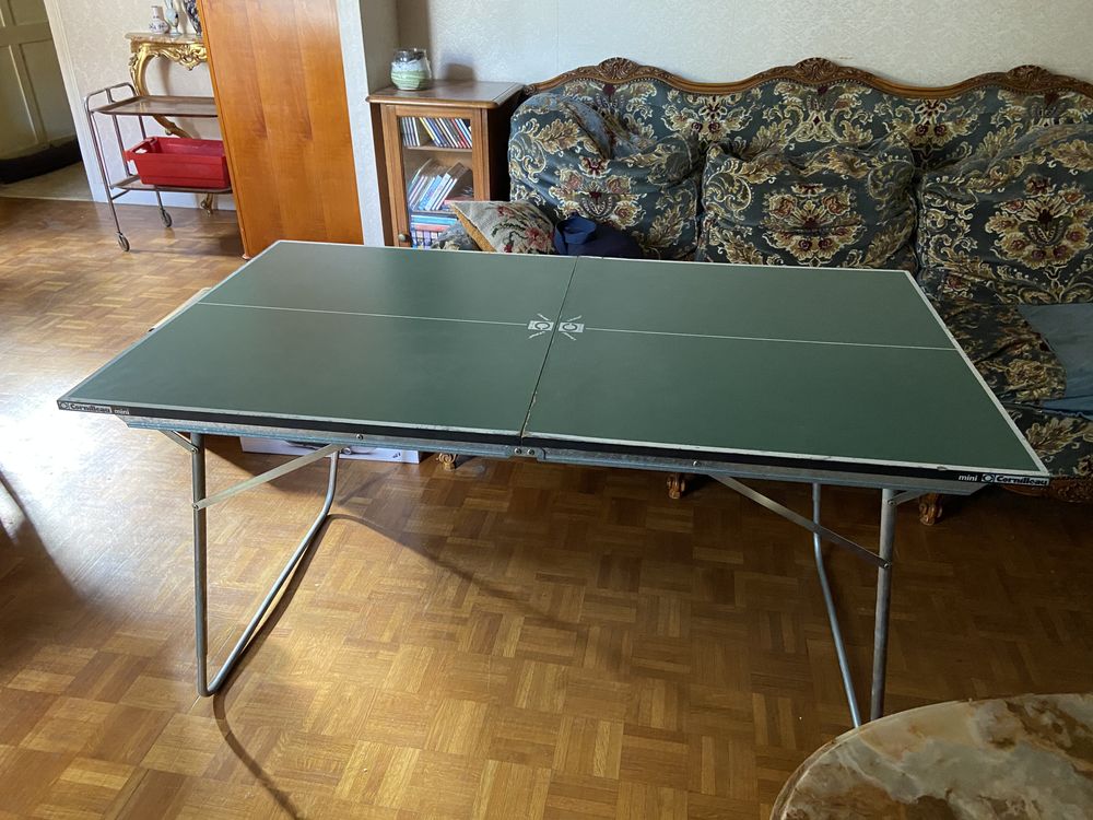 Mini table de ping pong 15 Alfortville (94)