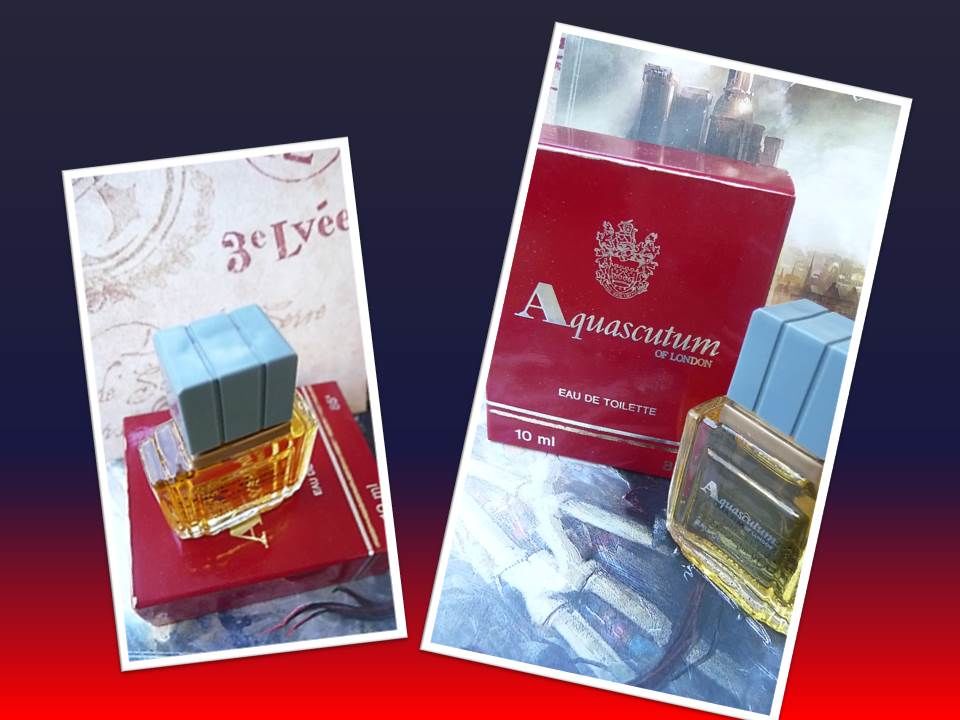 Miniature Aquascutum. 22 Nice (06)