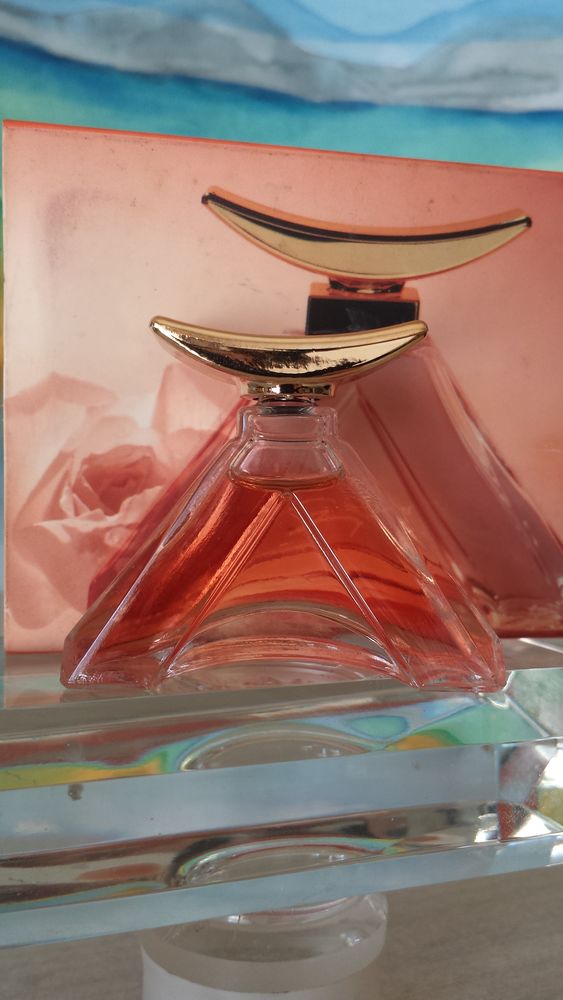 MINIATURE  GENNY SHINE  10 Nice (06)